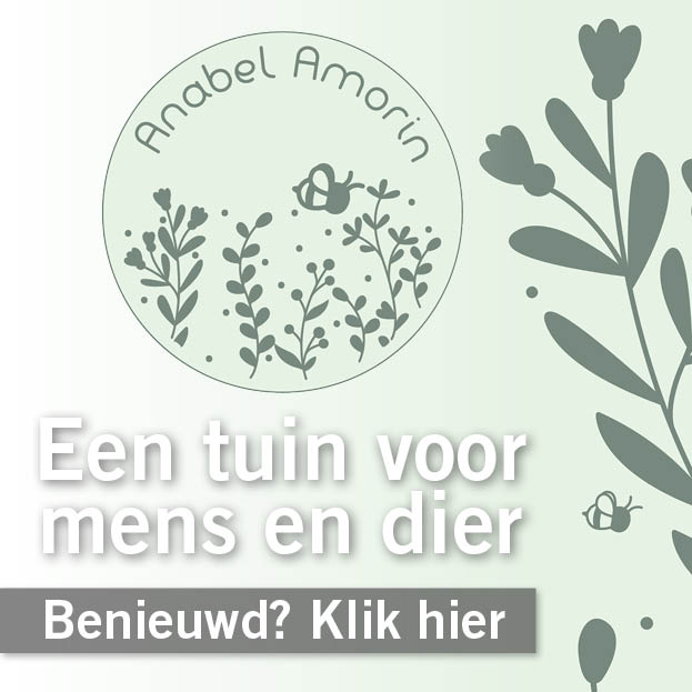 11021 - Anabel Amorin Ecologisch Tuinontwerper